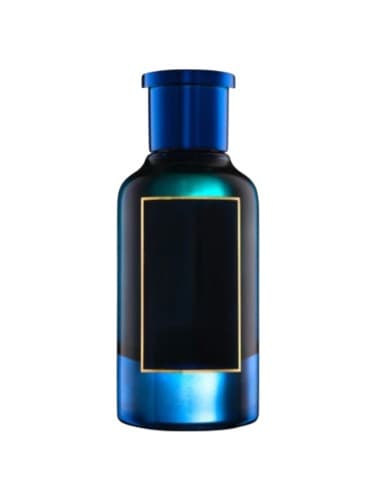 Imagen 1 de BHARARA BLEU